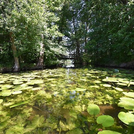 Ferienhaus-See-Sauna-Kamin-Hund Mit E-Ladestation Krakow am See Zewnętrze zdjęcie