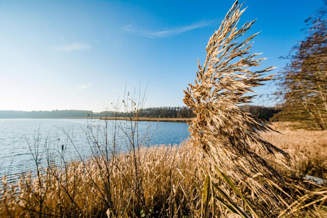 Ferienhaus-See-Sauna-Kamin-Hund Mit E-Ladestation Krakow am See Zewnętrze zdjęcie