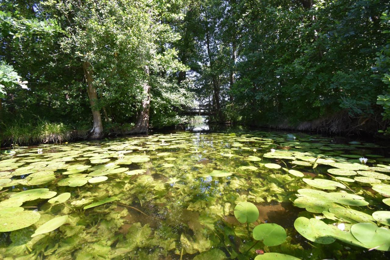 Ferienhaus-See-Sauna-Kamin-Hund Mit E-Ladestation Krakow am See Zewnętrze zdjęcie